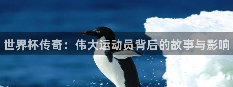 世界杯足球赛2026赛程时间：世界杯传奇：伟大运动员背后的故事与影响