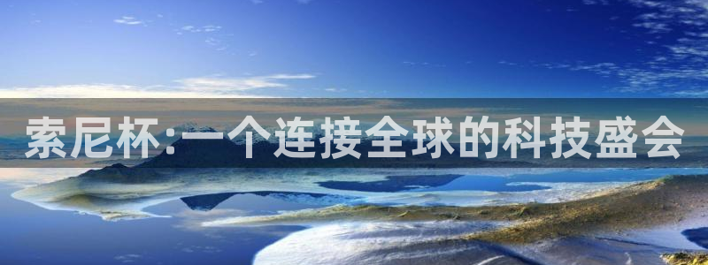 亚洲杯足球：索尼杯:一个连接全球的科技盛会