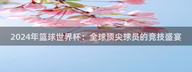 2026世界杯亚洲预选赛：2024年篮球世界杯：全球顶尖球员的竞技盛宴