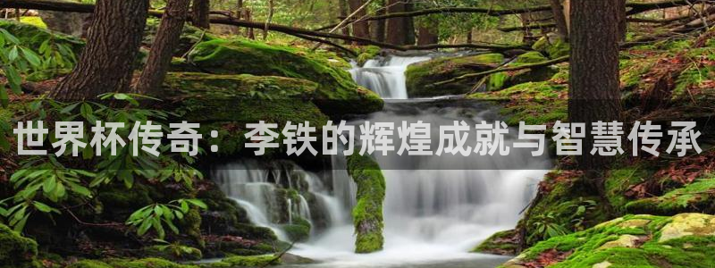 免费看足球直播比赛：世界杯传奇：李铁的辉煌成就与智慧传承