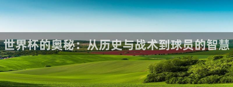 世界杯决赛圈球队：世界杯的奥秘：从历史与战术到球员的智慧