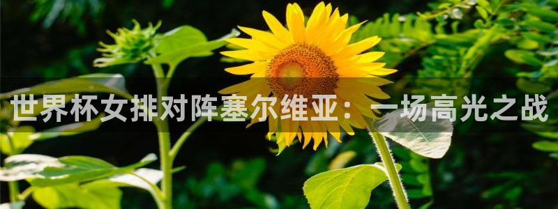 2026世界杯官网：世界杯女排对阵塞尔维亚：一场高光之战