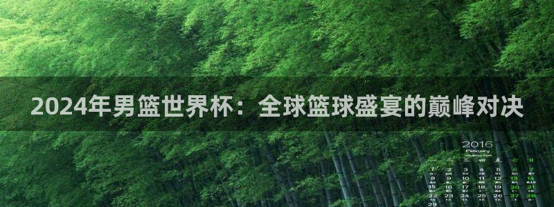 世界杯欧洲区预选赛：2024年男篮世界杯：全球篮球盛宴的巅峰对决