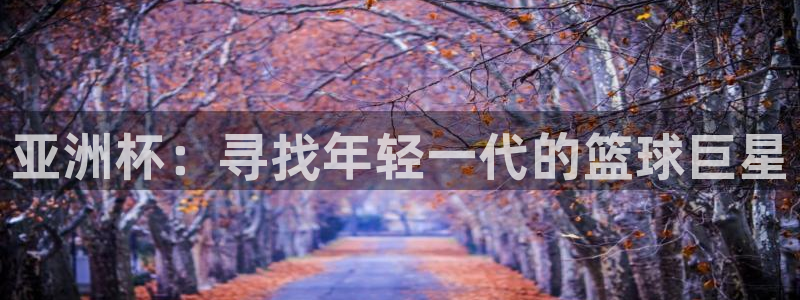 世界杯球赛：亚洲杯：寻找年轻一代的篮球巨星