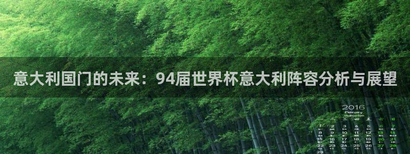 2026世界杯日期：意大利国门的未来：94届世界杯意大利阵容分析与展望
