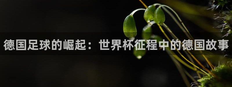 世界杯决赛预测：德国足球的崛起：世界杯征程中的德国故事