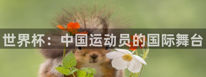 世界杯足球直播：世界杯：中国运动员的国际舞台