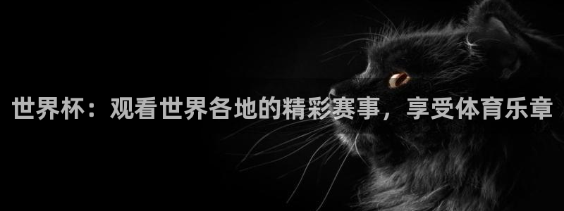 世界杯预选赛亚洲：世界杯：观看世界各地的精彩赛事，享受体育乐章
